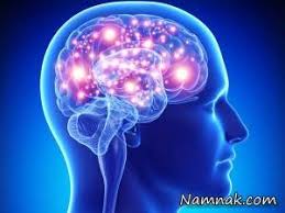 ریاضیات چگونگی کارکرد مغز را توضیح میدهد